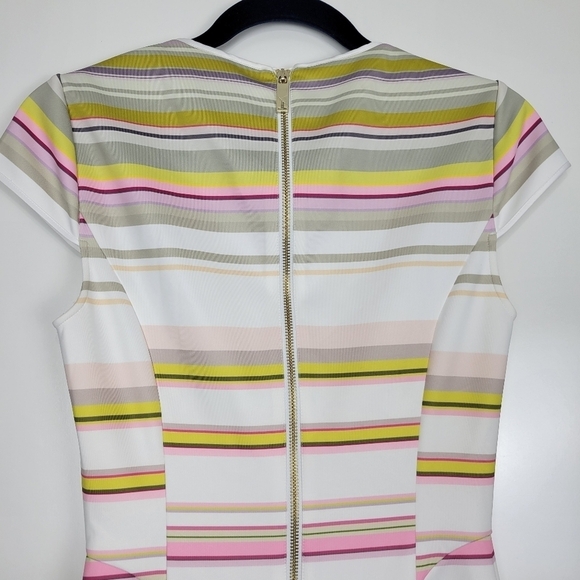 Ted Baker Aquai Skater Dress in Carousel Stripe with Gold Zipper Size 1 - Picture 9 of 14